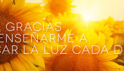 Regalos perfectos para el Dia del Padre en Colombia este 2025