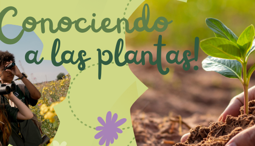 Consejos para el Cuidado de las Plantas y Las Flores