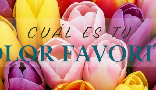 Tulipanes de colores: el regalo perfecto para cada emoción