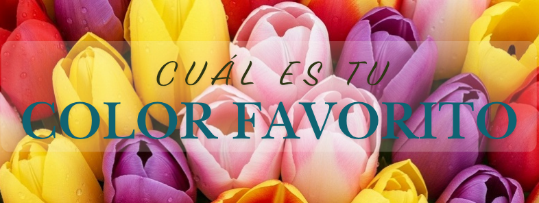 Tulipanes de colores: el regalo perfecto para cada emoción