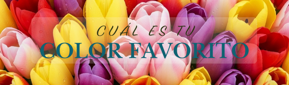 Tulipanes de colores