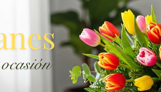 Tulipanes en Bogotá para ocasiones especiales