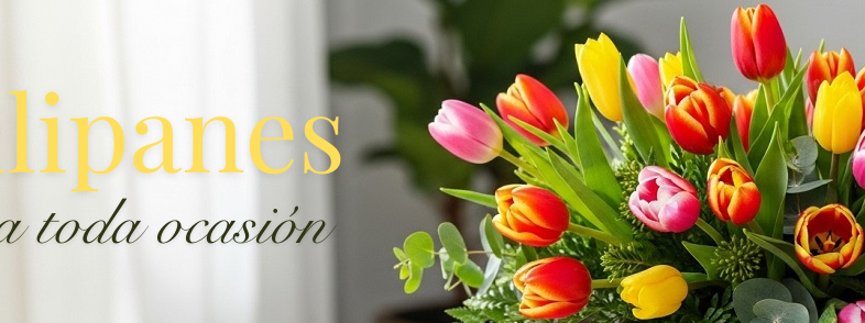 Tulipanes en Bogotá para ocasiones especiales